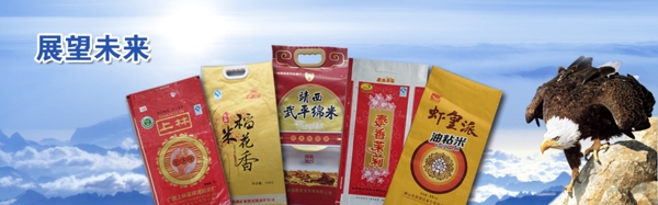 網(wǎng)頁(yè)banner