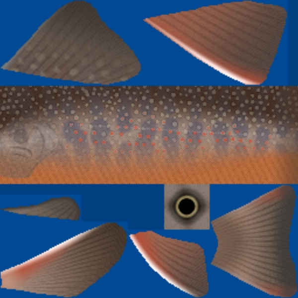 動(dòng)物魚類3d模型動(dòng)植物模型免費(fèi)下載動(dòng)物3d模型56