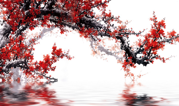梅花水中倒影圖
