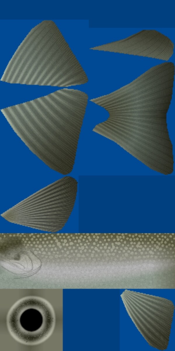動(dòng)物魚類3d模型動(dòng)植物模型免費(fèi)下載魚類3d素材32