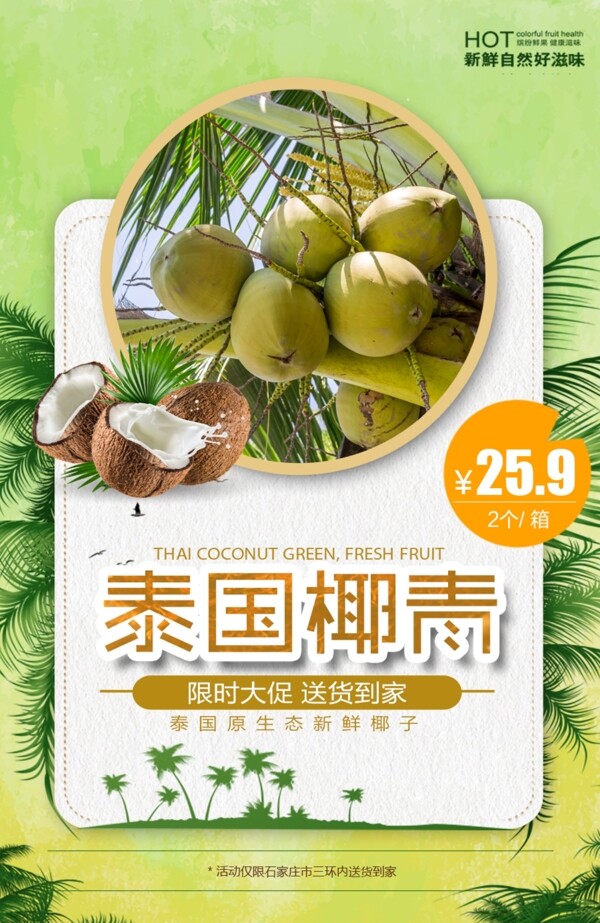 泰国椰青椰子绿色水果海报
