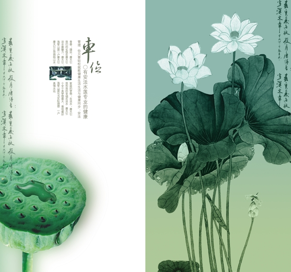 房地產(chǎn)分層PSD模板