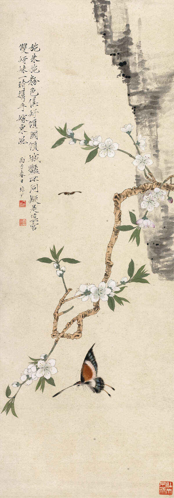 蝴蝶桃花圖片