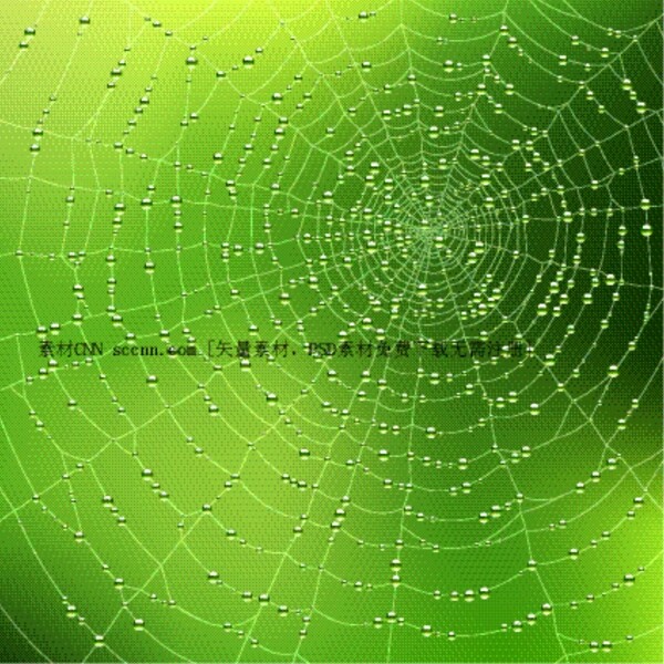 沾满水珠的蜘蛛网矢量素材
