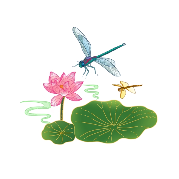 手绘中国风蜻蜓荷花