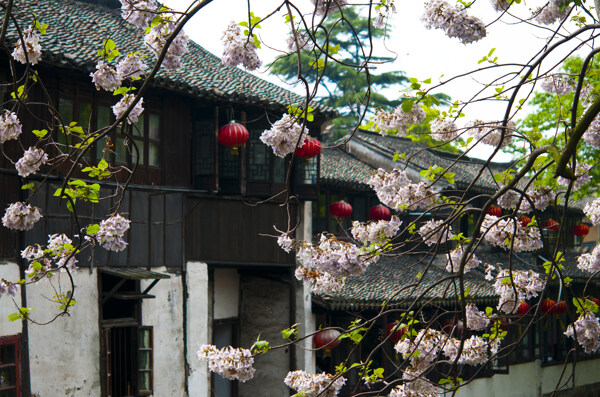 周莊