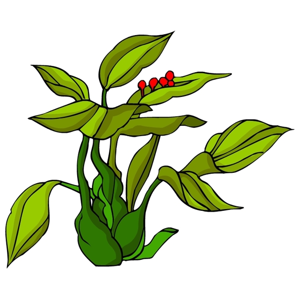 花卉古典插畫