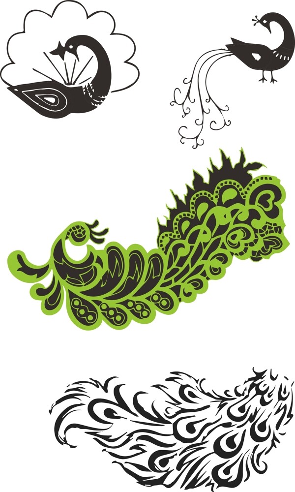 孔雀01.jpg