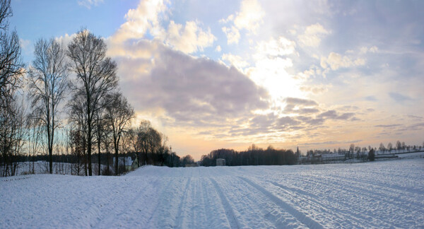 冬日雪景