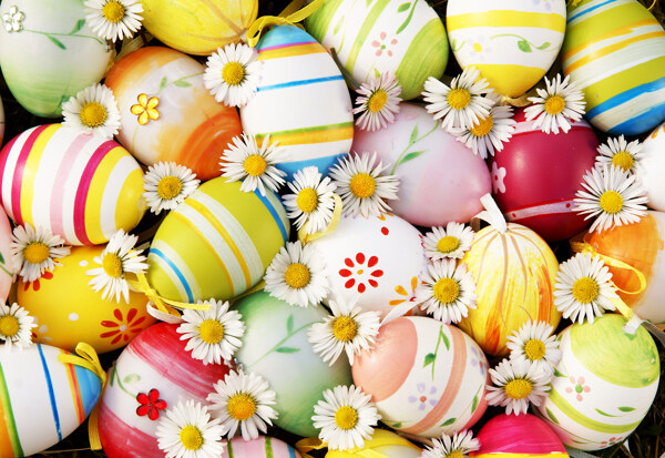 复活节彩蛋鲜花背景图片