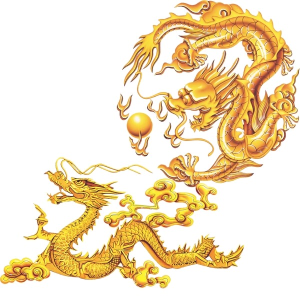 二龙图片