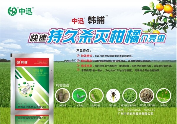 韓捕宣傳畫柑橘