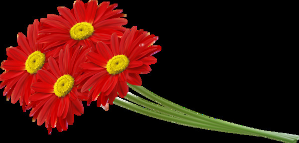清新大红色花朵手绘菊花装饰元素