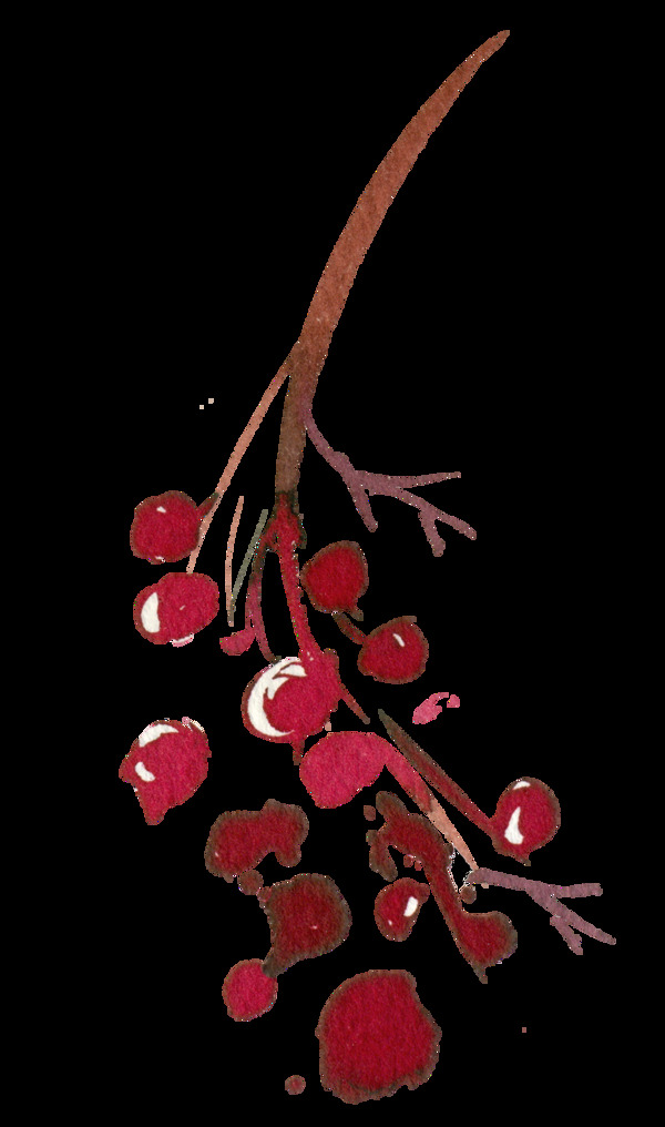 手绘一株红色果子PNG透明素材