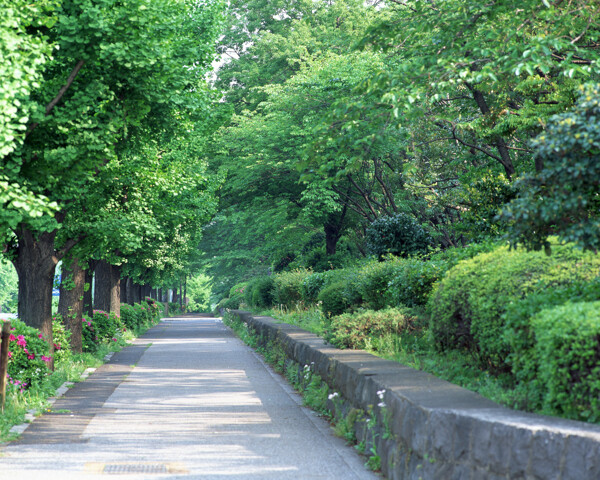 公園攝影