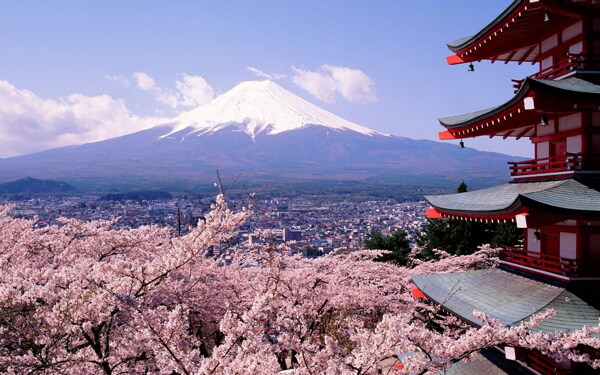 日本富士山樱花风景高清图片下载