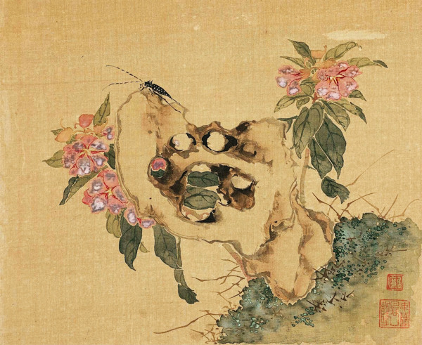 花卉蟲奇石小品圖片