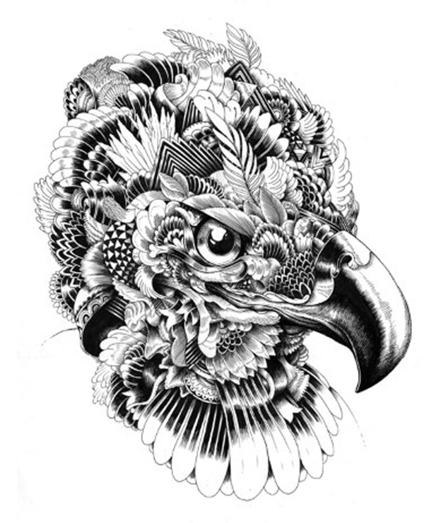 位圖動物鳥類老鷹插畫免費素材