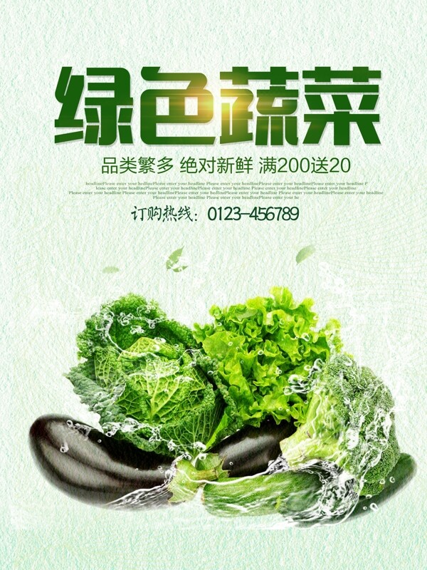 绿色有机蔬菜