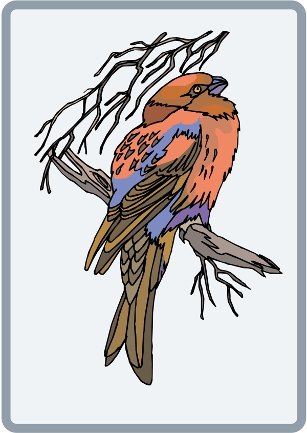 各種鳥類鳥動物矢量素材EPS格式0460