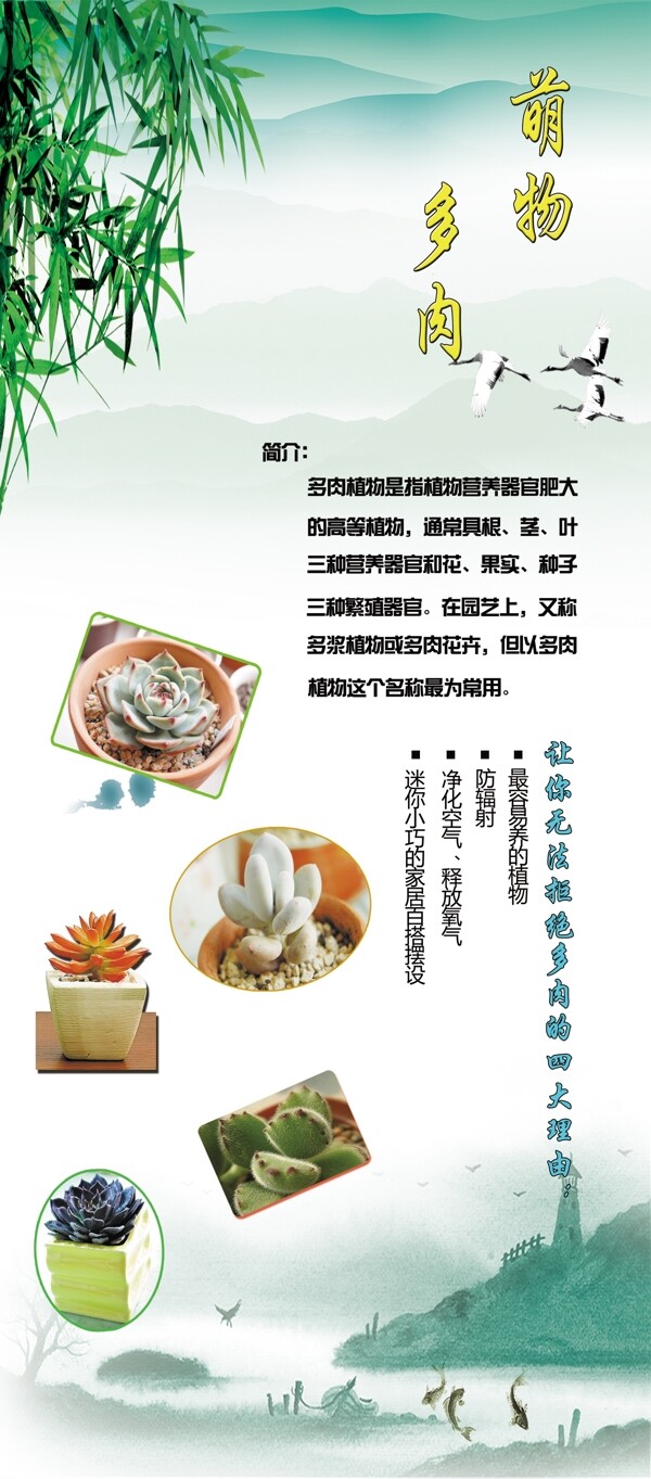 植物展架