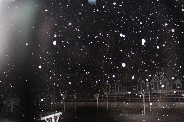 下雪