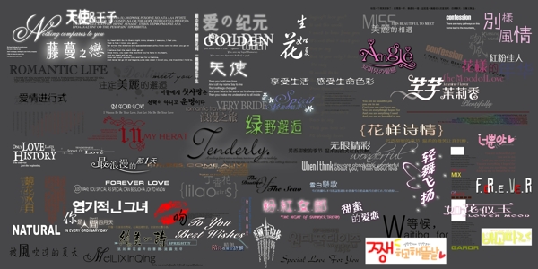婚紗相冊藝術(shù)字體組合圖PSD一