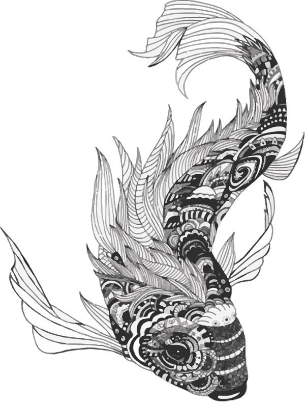 山海经鳟鱼矢量素材图片