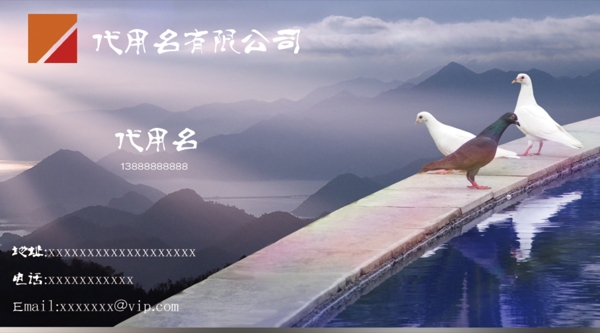 鴿子名片模板