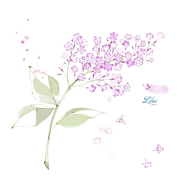 向日葵花卉設(shè)計矢量圖