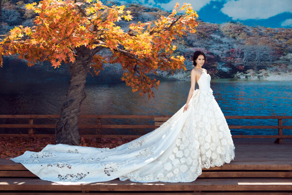 結(jié)婚照圖片