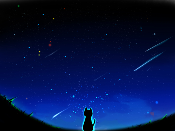 星空下的貓圖片