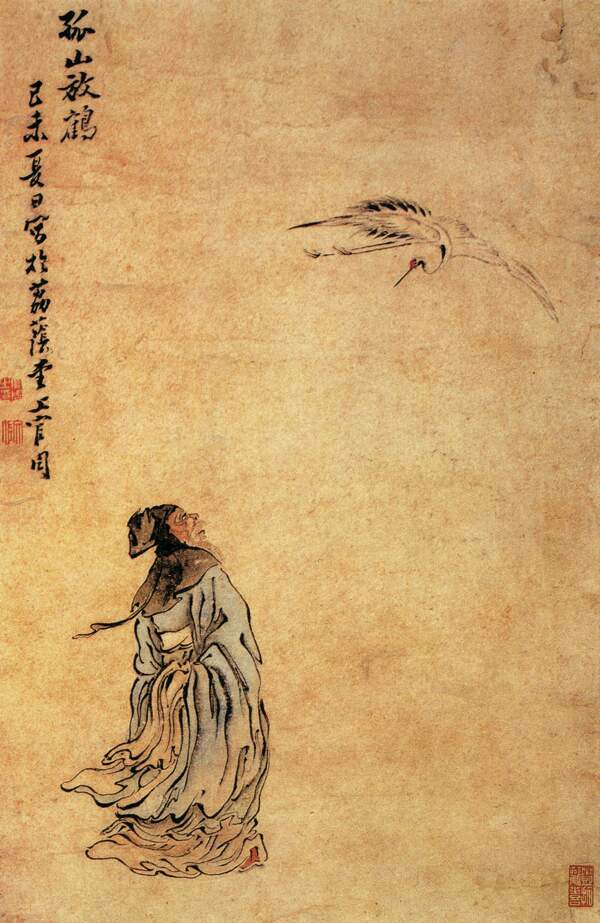 觀鳥(niǎo)