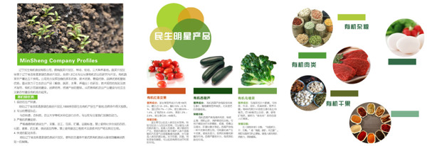 三折頁宣傳