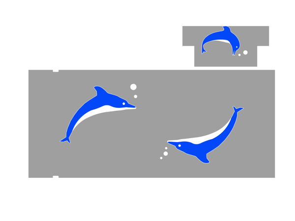 游泳池海豚图片
