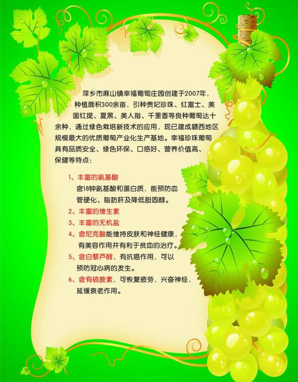 葡萄酒傳單圖片