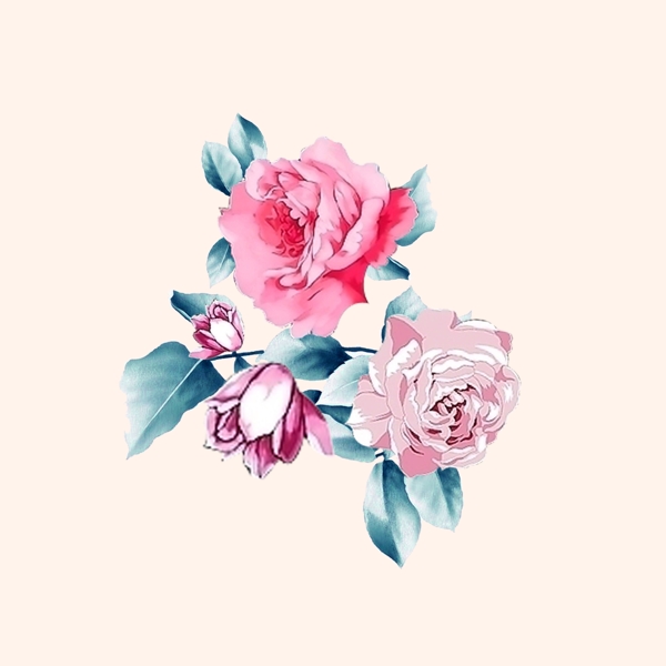 位圖psd植物花朵免費素材