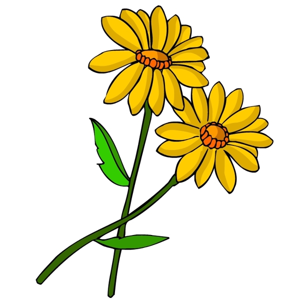 花卉古典插畫