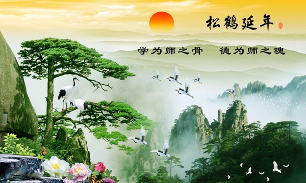 迎客松圖片