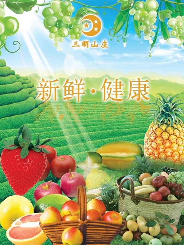 水果海報(bào)圖片