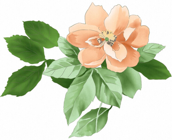 位圖時尚休閑女裝成熟優(yōu)雅女裝植物花卉免費素材