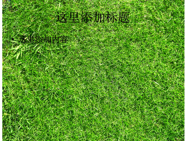 綠色草地高清