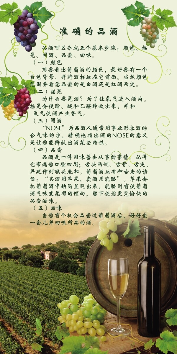 葡萄酒宣传设计