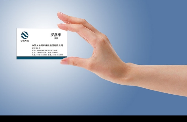 大地保險(xiǎn)標(biāo)準(zhǔn)名片圖片