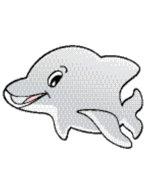 向量的海豚