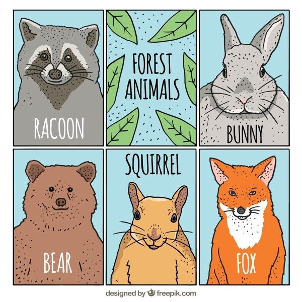 5款彩绘森林动物卡片矢量图