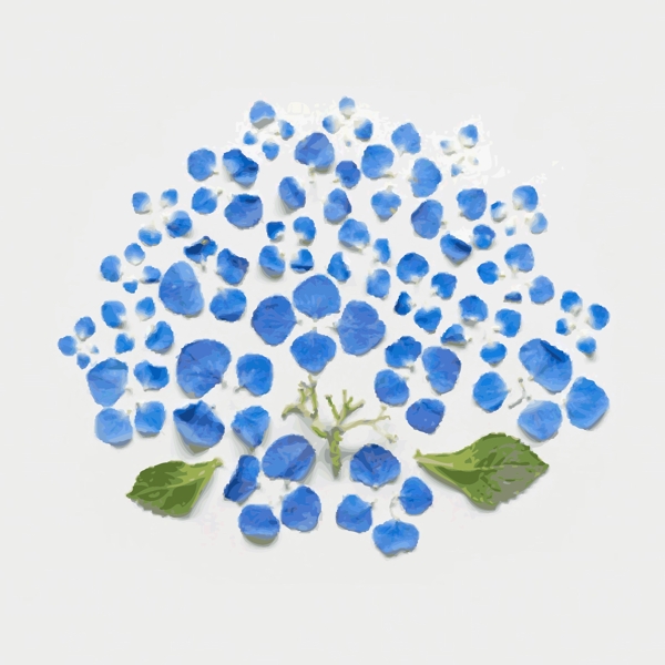 印花矢量圖T恤圖案植物花朵拼接免費素材