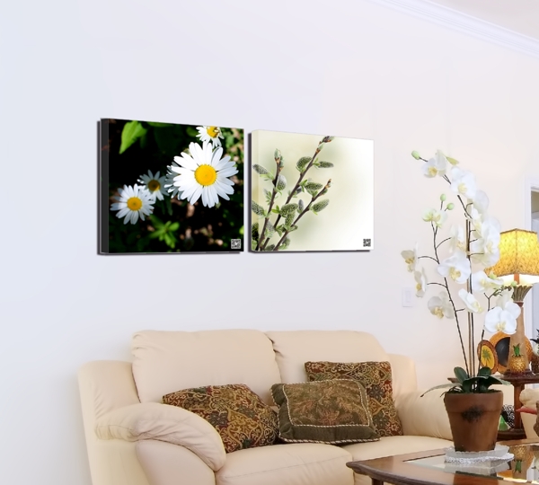 清新植物墙画