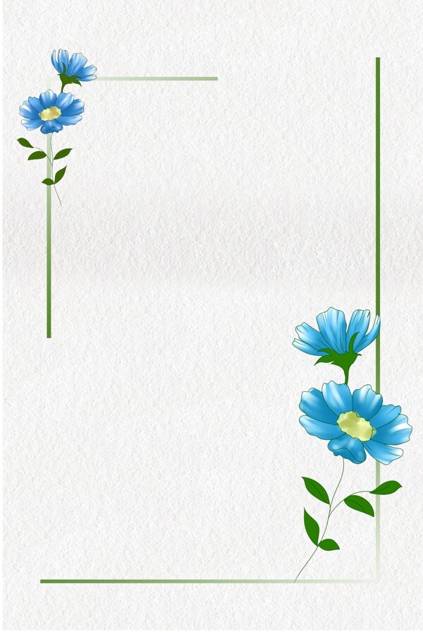 小菊花花卉背景图片