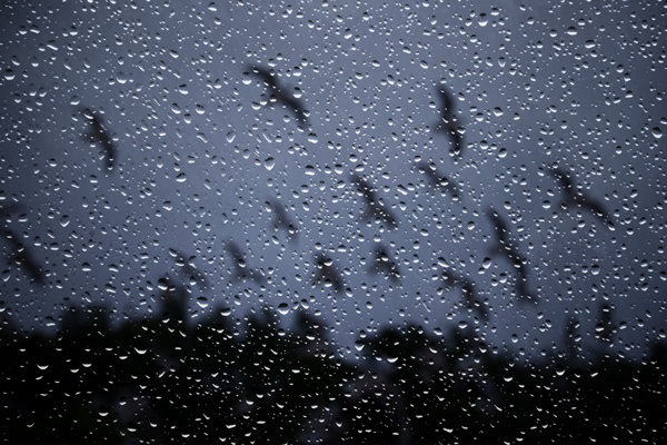 雨滴